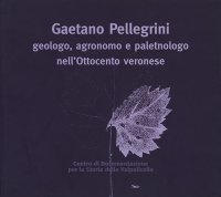Immagine copertina libro Gaetano Pellegrini geologo, agronomo e paletnologo nell'Ottocento veronese. Atti del Convegno
