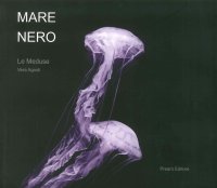 Immagine copertina libro Fabrizio Carotti. Anime salve. Ediz. illustrata