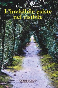 Immagine copertina libro L'invisibile esiste nel visibile