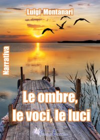 Immagine copertina libro Le ombre, le luci, le voci