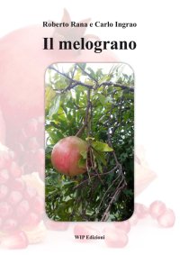 Immagine copertina libro Il melograno
