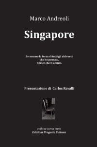 Immagine copertina libro Singapore