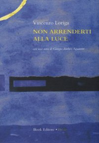 Immagine copertina libro Non arrenderti alla luce