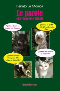 Immagine copertina libro Le parole che vorreste dirmi
