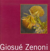 Immagine copertina libro Giosuè Zenoni. Ediz. illustrata