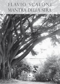 Immagine copertina libro Mantra della sera