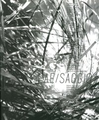 Immagine copertina libro Pae/saggi. Ediz. illustrata