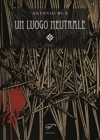 Immagine copertina libro Un luogo neutrale