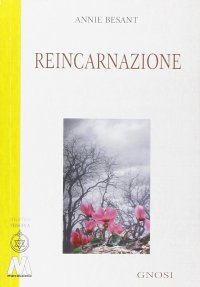 Immagine copertina libro Reincarnazione