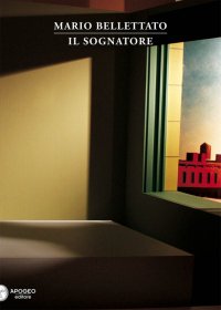 Immagine copertina libro Il sognatore