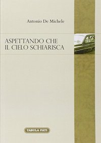Immagine copertina libro Aspettando che il cielo schiarisca