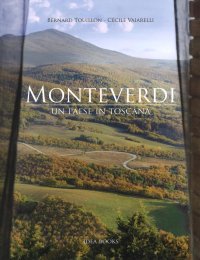 Immagine copertina libro Monteverdi. Un paese in Toscana. Ediz. illustrata