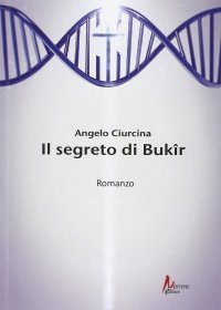 Immagine copertina libro Il segreto di Bukir