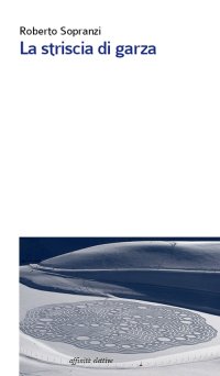 Immagine copertina libro La striscia di garza