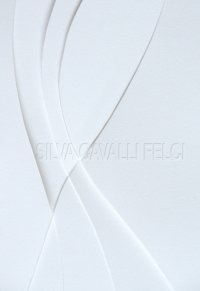 Immagine copertina libro Silva Cavalli Felci. La vita è insufficiente. Ediz. illustrata