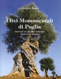 Immagine copertina libro Ulivi monumentali di Puglia. Itinerari tra gli ulivi millenari in terra di Puglia. Ediz. a colori