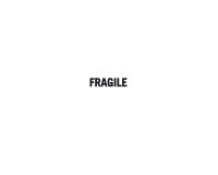 Immagine copertina libro Fragile. Ediz. multilingue