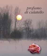 Immagine copertina libro Profumo di culatello nella bassa parmense