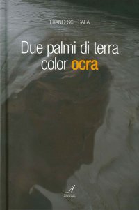 Immagine copertina libro Due palmi di terra color ocra