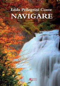 Immagine copertina libro Navigare