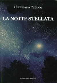 Immagine copertina libro La notte stellata