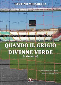Immagine copertina libro Quando il grigio divenne verde (e viceversa)