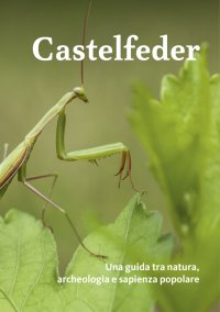 Immagine copertina libro Castelfeder. Una guida tra natura, archeologia e sapienza popolare