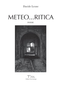 Immagine copertina libro Meteo... ritica
