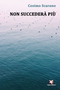 Immagine copertina libro Non succederà più