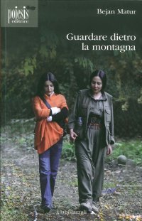 Immagine copertina libro Guardare dietro la montagna