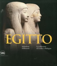 Immagine copertina libro Egitto