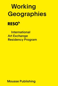 Immagine copertina libro Working geographies. Ediz. italiana e inglese