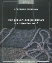 Immagine copertina libro Non più voci non più rumori, ora tutto è in canto!