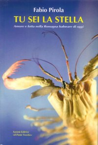 Immagine copertina libro Tu sei la stella