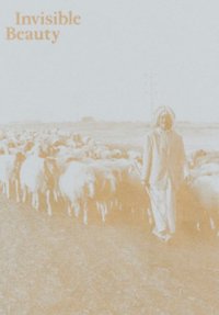 Immagine copertina libro Invisible Beauty. The Pavilion of Iraq at the 56th Venice Biennale. Ediz. illustrata