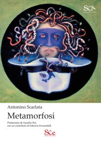 Immagine copertina libro Metamorfosi. Ediz. illustrata