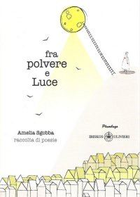 Immagine copertina libro Fra polvere e luce