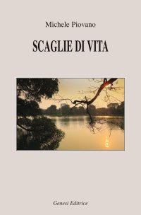 Immagine copertina libro Scaglie di vita