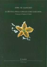 Immagine copertina libro La buona stella delle cose nascoste