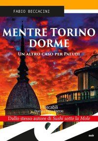 Immagine copertina libro Mentre Torino dorme
