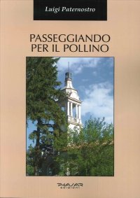 Immagine copertina libro Passeggiando per il Pollino. Storia e arte di alcuni dei suoi centri abitati
