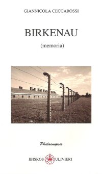 Immagine copertina libro Birkenau (memoria)