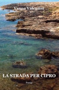 Immagine copertina libro La strada per Cipro