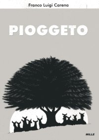 Immagine copertina libro Pioggeto