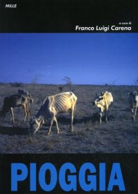 Immagine copertina libro Pioggia