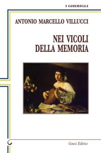 Immagine copertina libro Nei vicoli della memoria