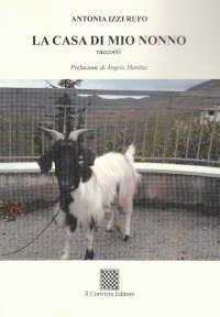 Immagine copertina libro La casa di mio nonno