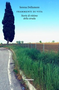 Immagine copertina libro Frammenti di vita. Storia di vittime della strada