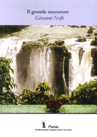 Immagine copertina libro Il grande nuotatore (e altre poesie)