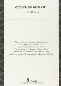 Immagine copertina libro Terra bruciata